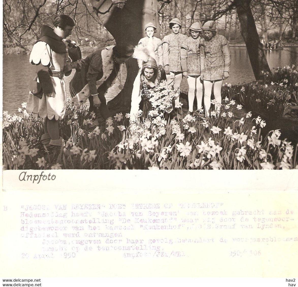 Persfoto Lisse Keukenhof 1950 Jac.v.Beyeren KE4343 - Lisse