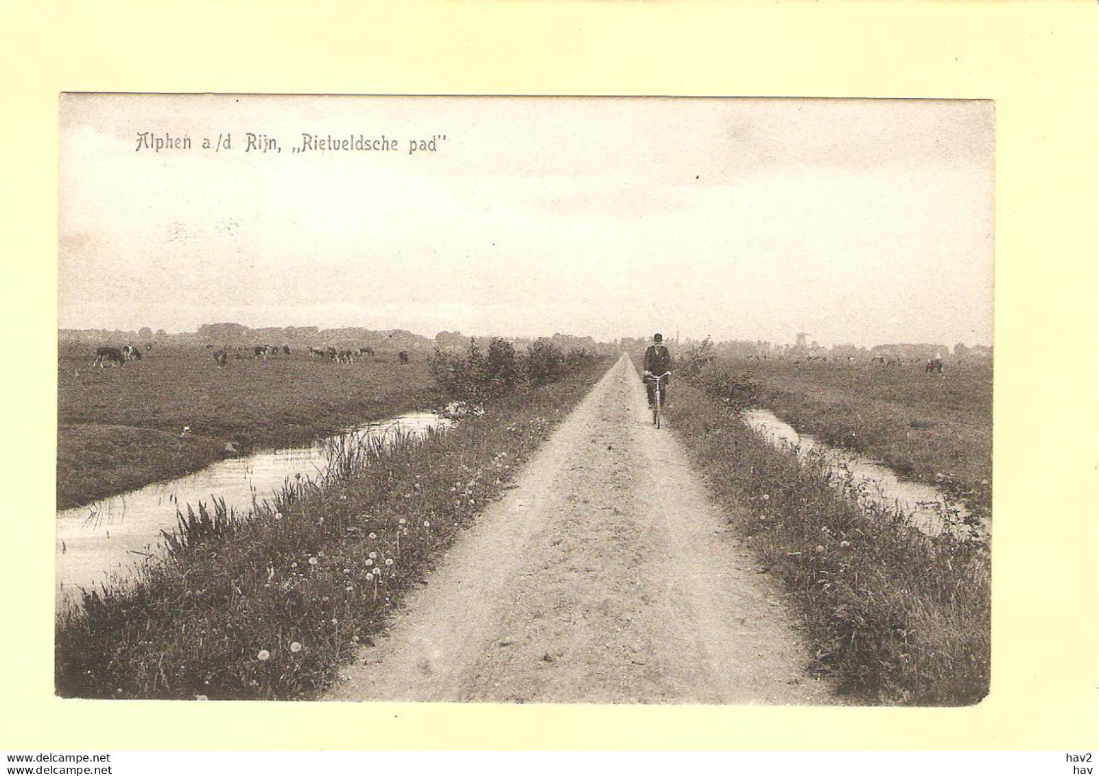 Alphen A/d Rijn Rietveldsche Pad 1907 RY36999 - Alphen A/d Rijn