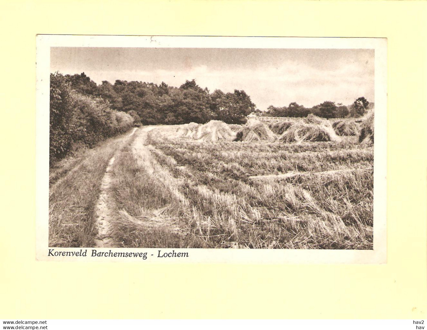 Lochem Korenveld Barchemseweg 1952 RY39318 - Lochem