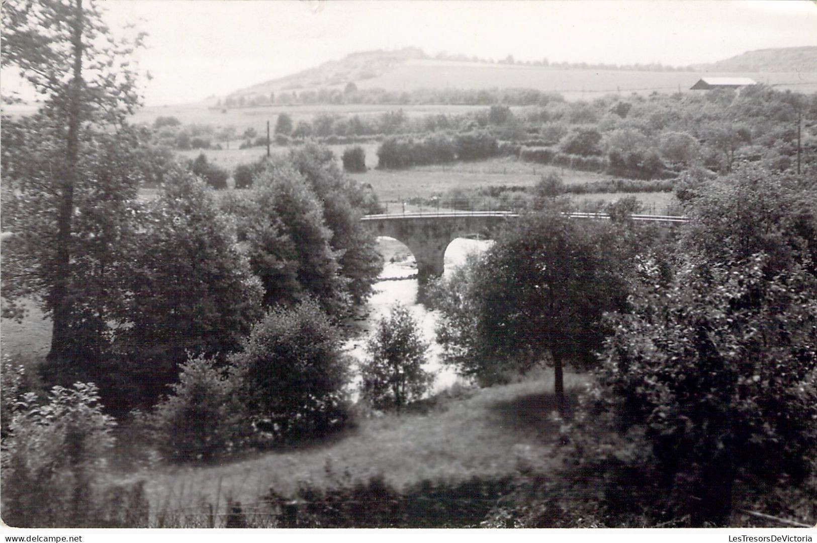 CPA - BELGIQUE - TREIGNES - Le Vieux Pont Sur Le Viroin - CARTE POSTALE ANCIENNE - Otros & Sin Clasificación