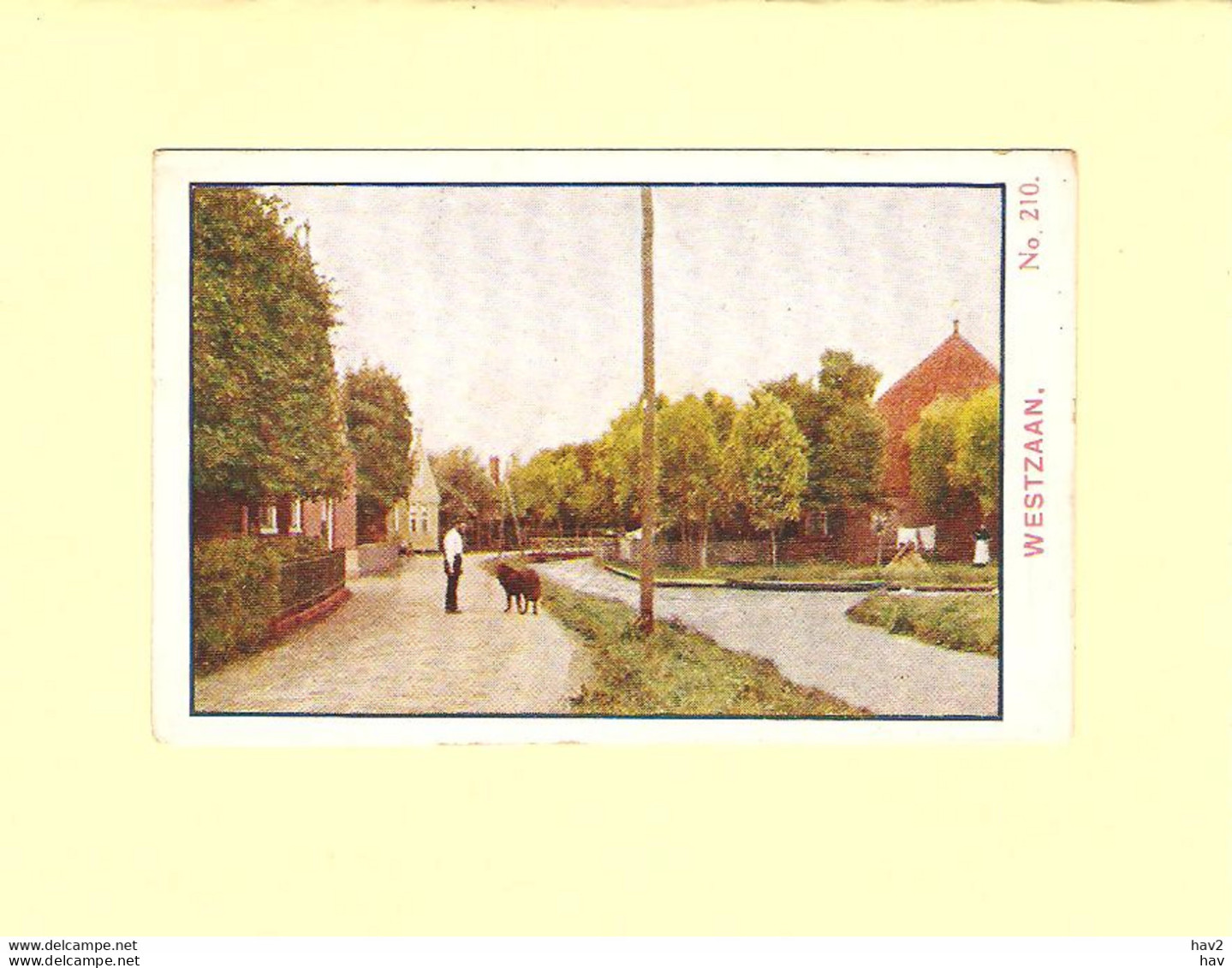 Westzaan Albumplaatje Honig Nr.210 RY41424 - Zaanstreek