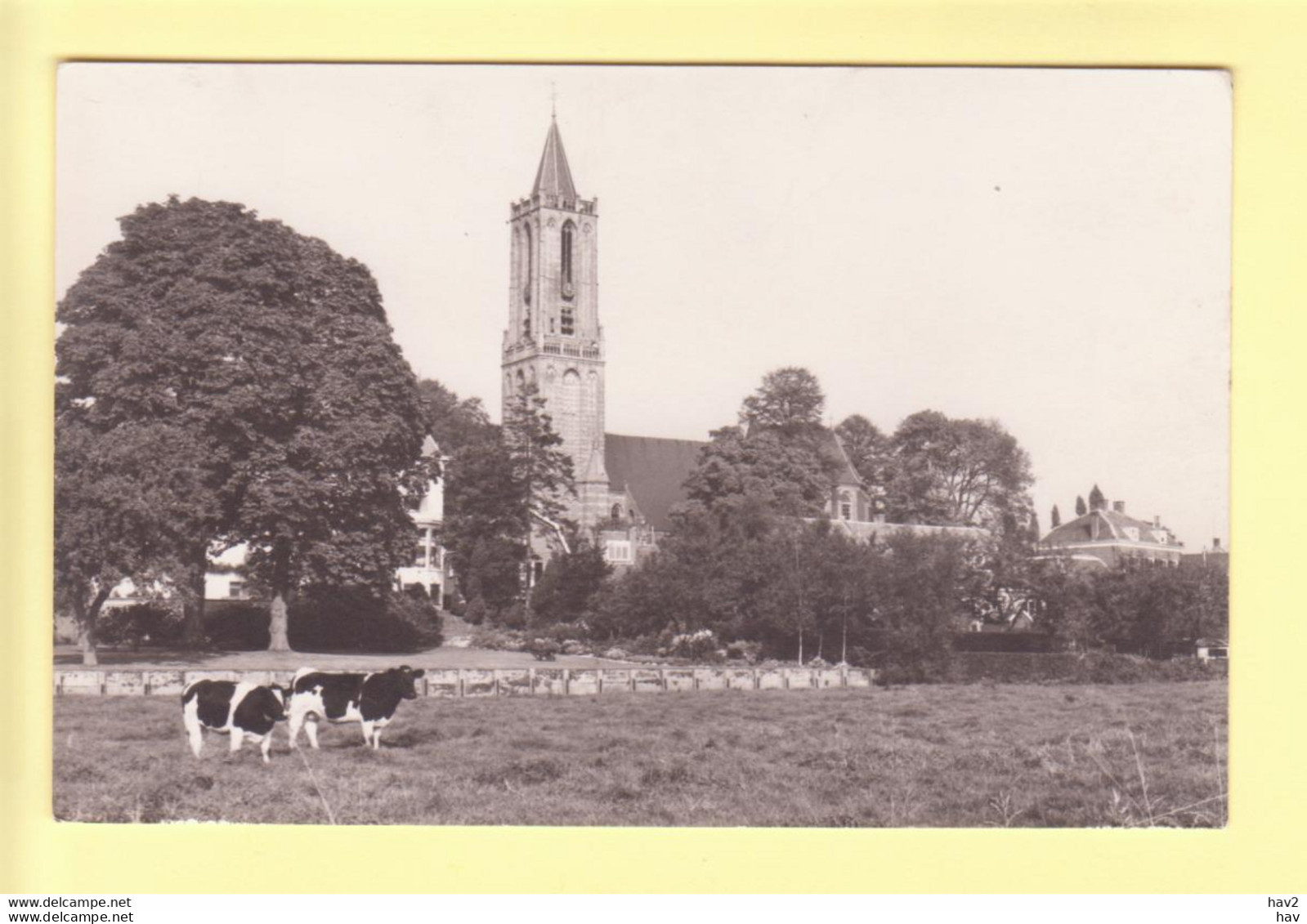 Amerongen Vanaf Lievendaal, Landschap RY21680 - Amerongen