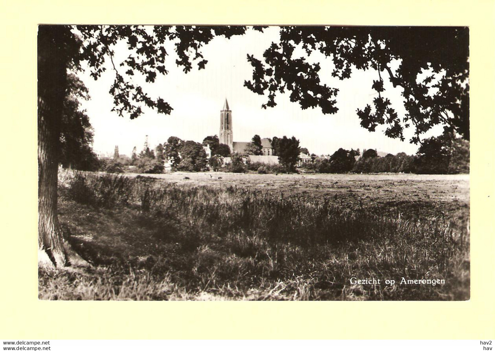 Amerongen Gezicht Op Dorp RY23199 - Amerongen