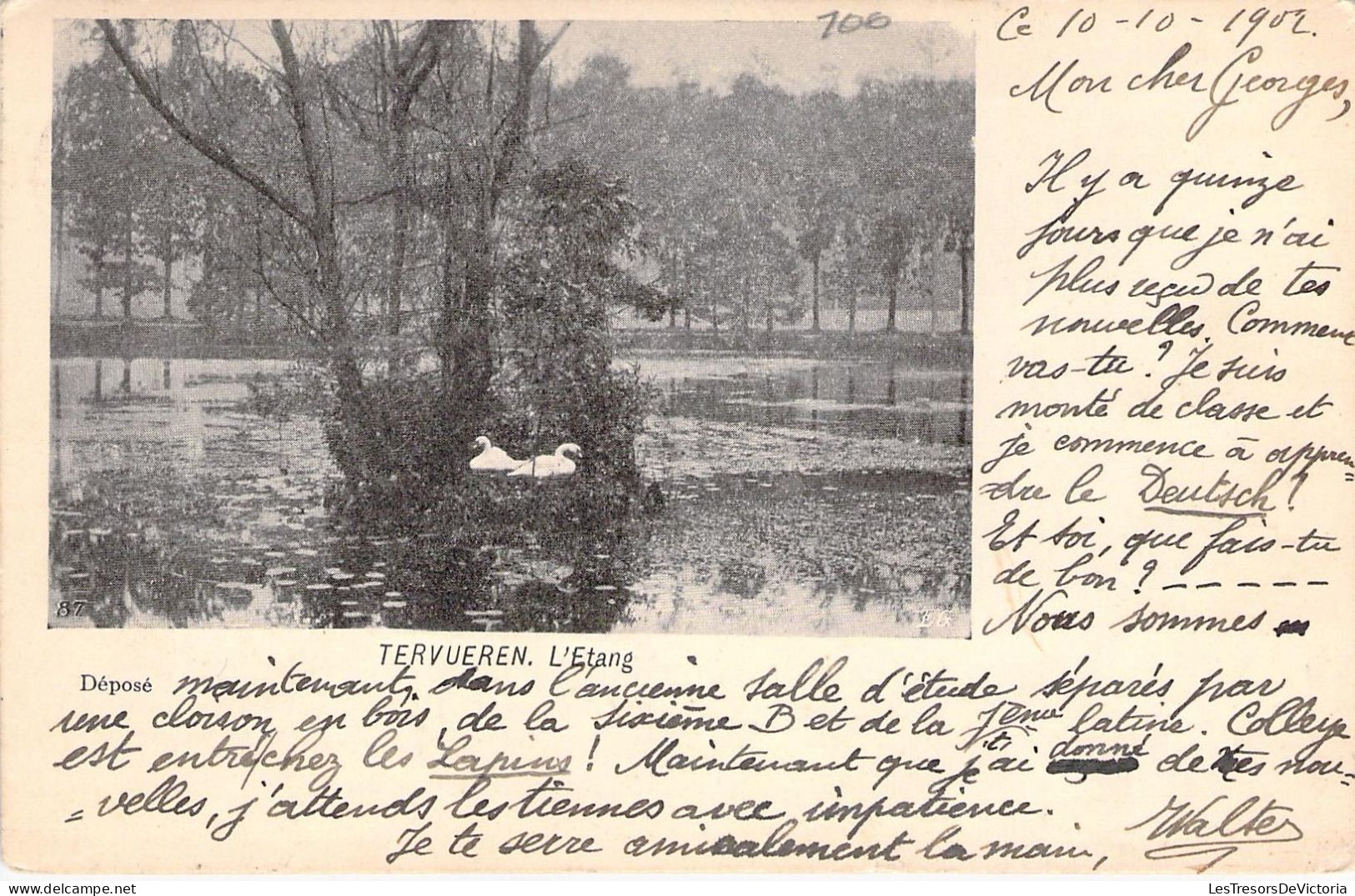 CPA - BELGIQUE - TERVUREN - L'étang - CARTE POSTALE ANCIENNE - Tervuren