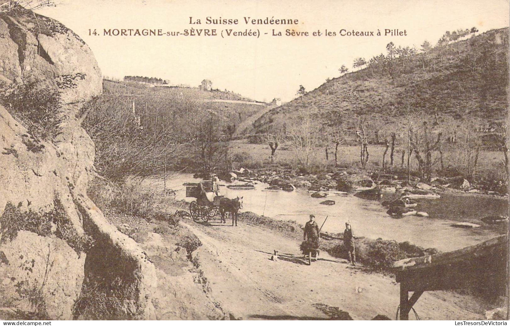 FRANCE - 85 - Mortagne-sur-Sèvre - La Sèvre Et Les Coteaux à Pillet - Carte Postale Ancienne - Mortagne Sur Sevre