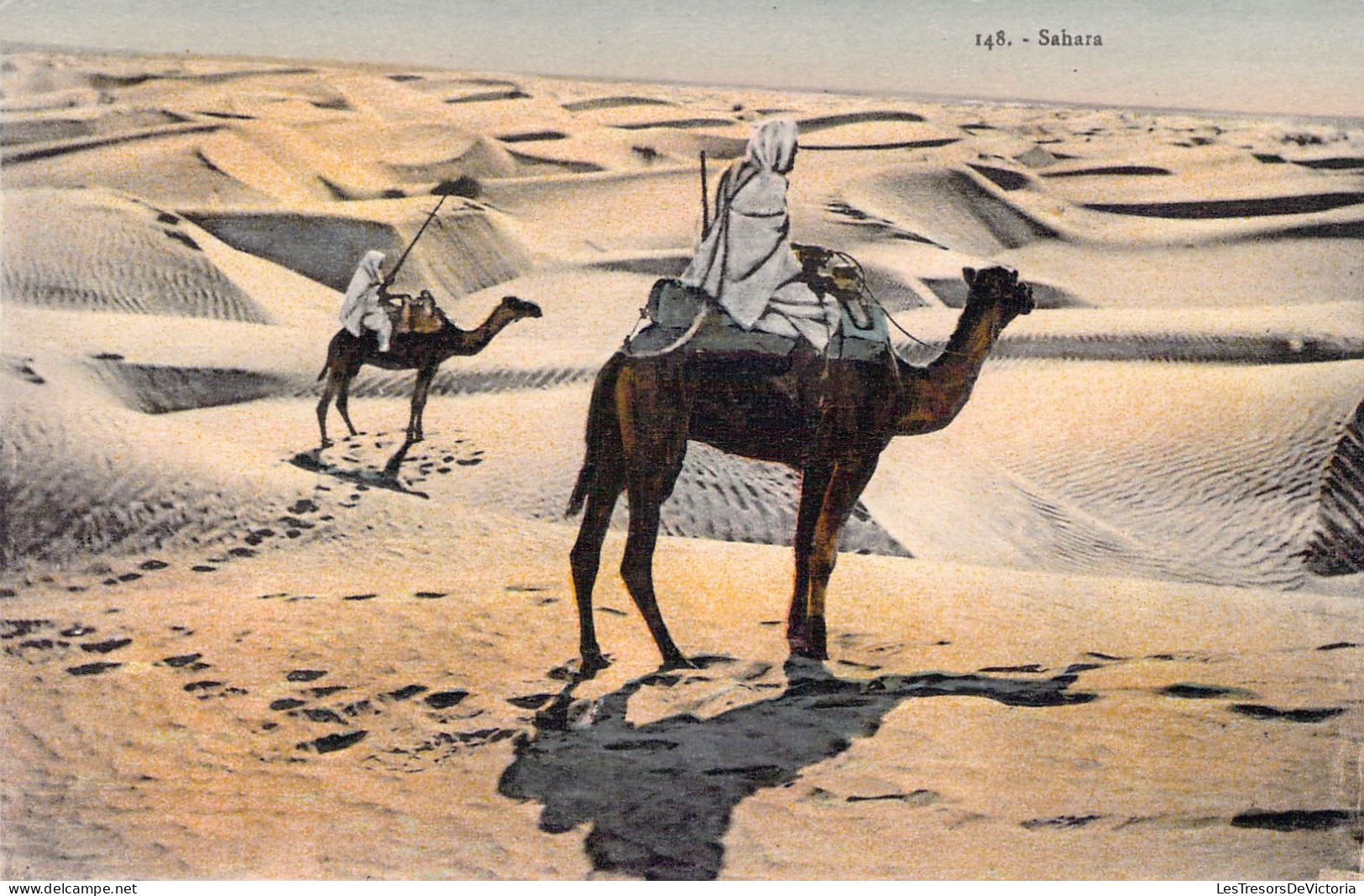 CPA - ALGERIE - Sahara - Nomades-  Folklore - CARTE POSTALE ANCIENNE - Altri & Non Classificati