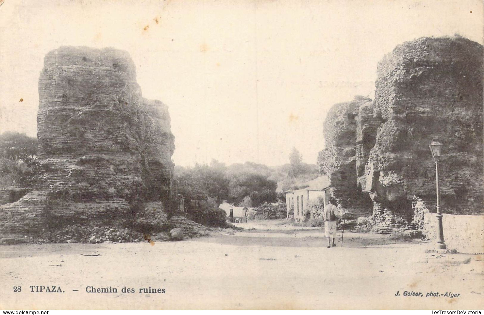 ALGERIE - Tipaza - Chemin Des Ruines - Carte Postale Ancienne - Sonstige & Ohne Zuordnung