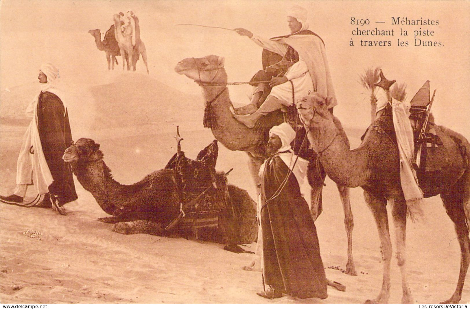 CPA - ALGERIE - Méharistes Cherchant La Piste à Travers Les Dunes -  Folklore - CARTE POSTALE ANCIENNE - Sonstige & Ohne Zuordnung