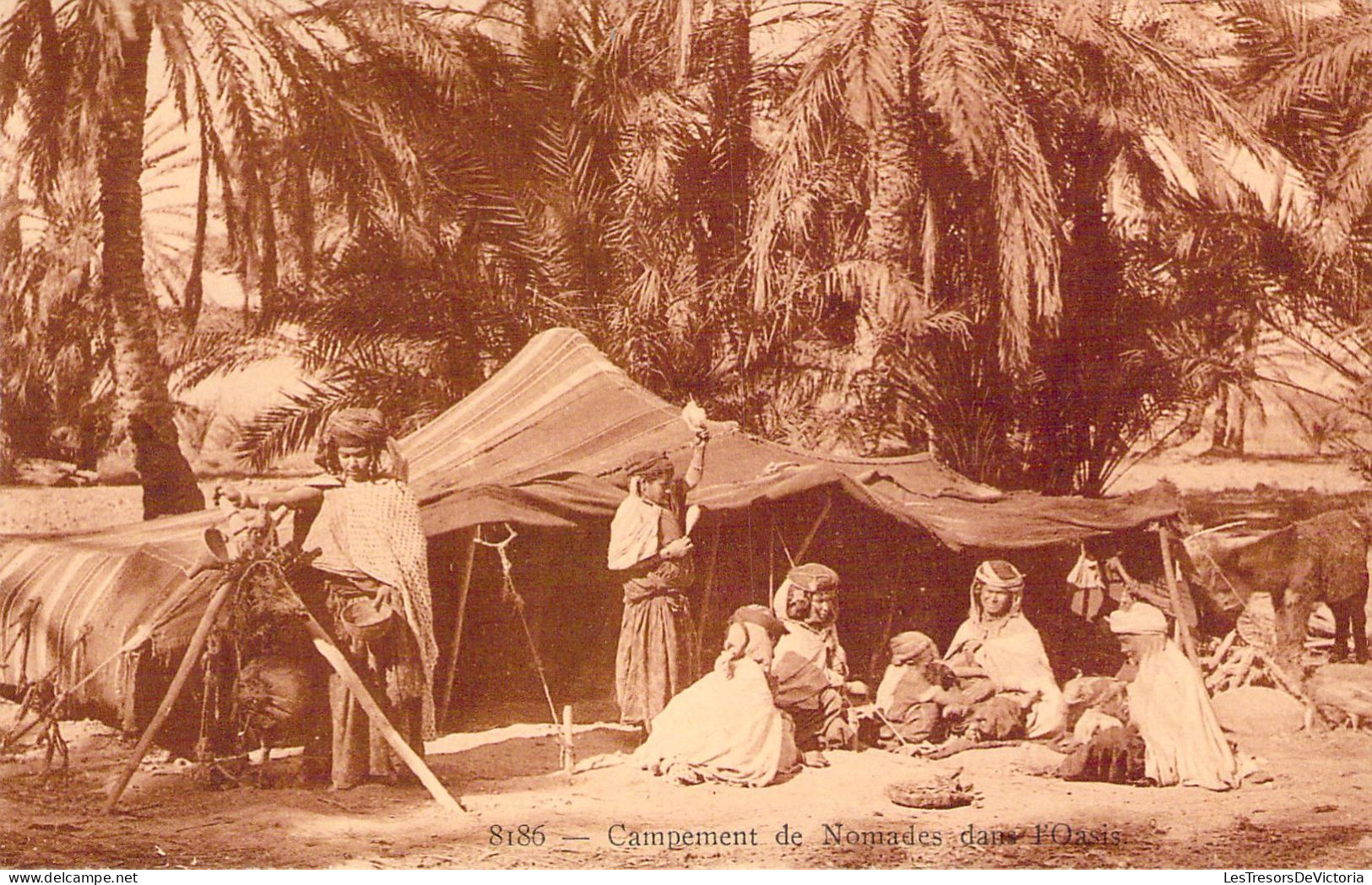 CPA - ALGERIE - Campement De Nomades Dans L'oasis -  Folklore - CARTE POSTALE ANCIENNE - Otros & Sin Clasificación