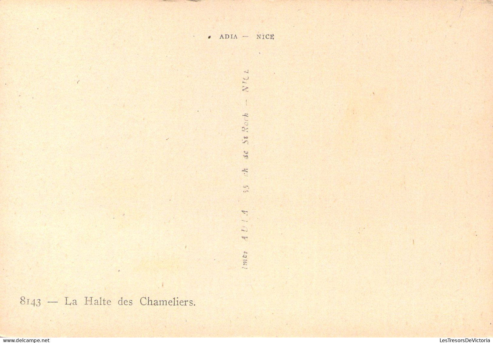 CPA - ALGERIE - La Halte Des Chameliers -  Folklore - CARTE POSTALE ANCIENNE - Autres & Non Classés