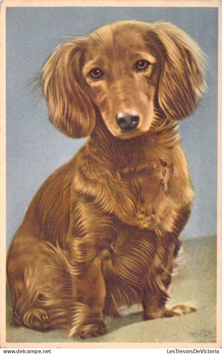 CPA - Portrait De Chien - CARTE POSTALE ANCIENNE - Chiens