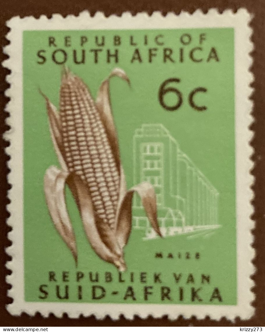 South Africa 1971 Corn Zea Mays 6 C - Used - Gebruikt