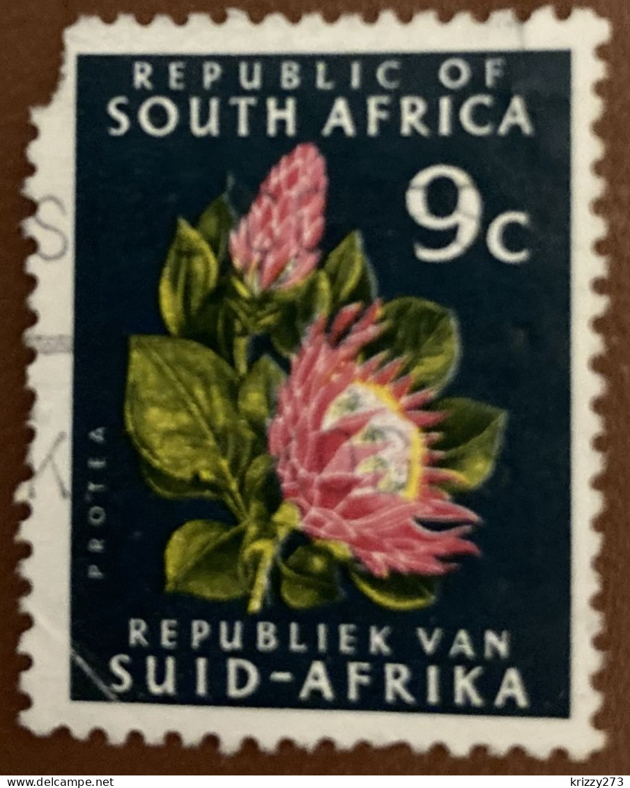 South Africa 1971 Flower Protea 9 C - Used - Gebruikt