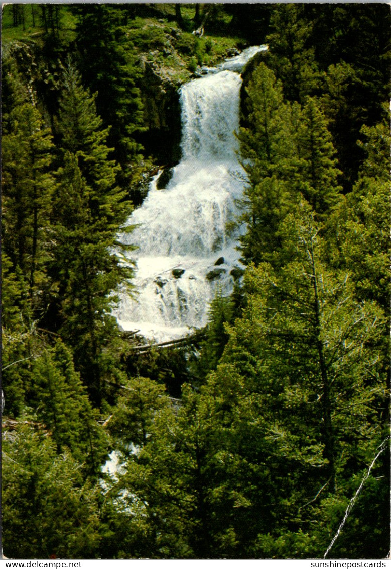 Yellowstone National Park Udine Fall Near Tower Junction - USA National Parks