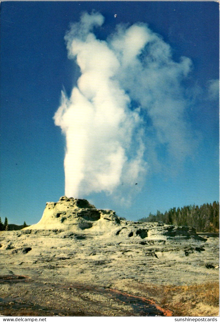 Yellowstone National Park Castle Geyser - USA National Parks