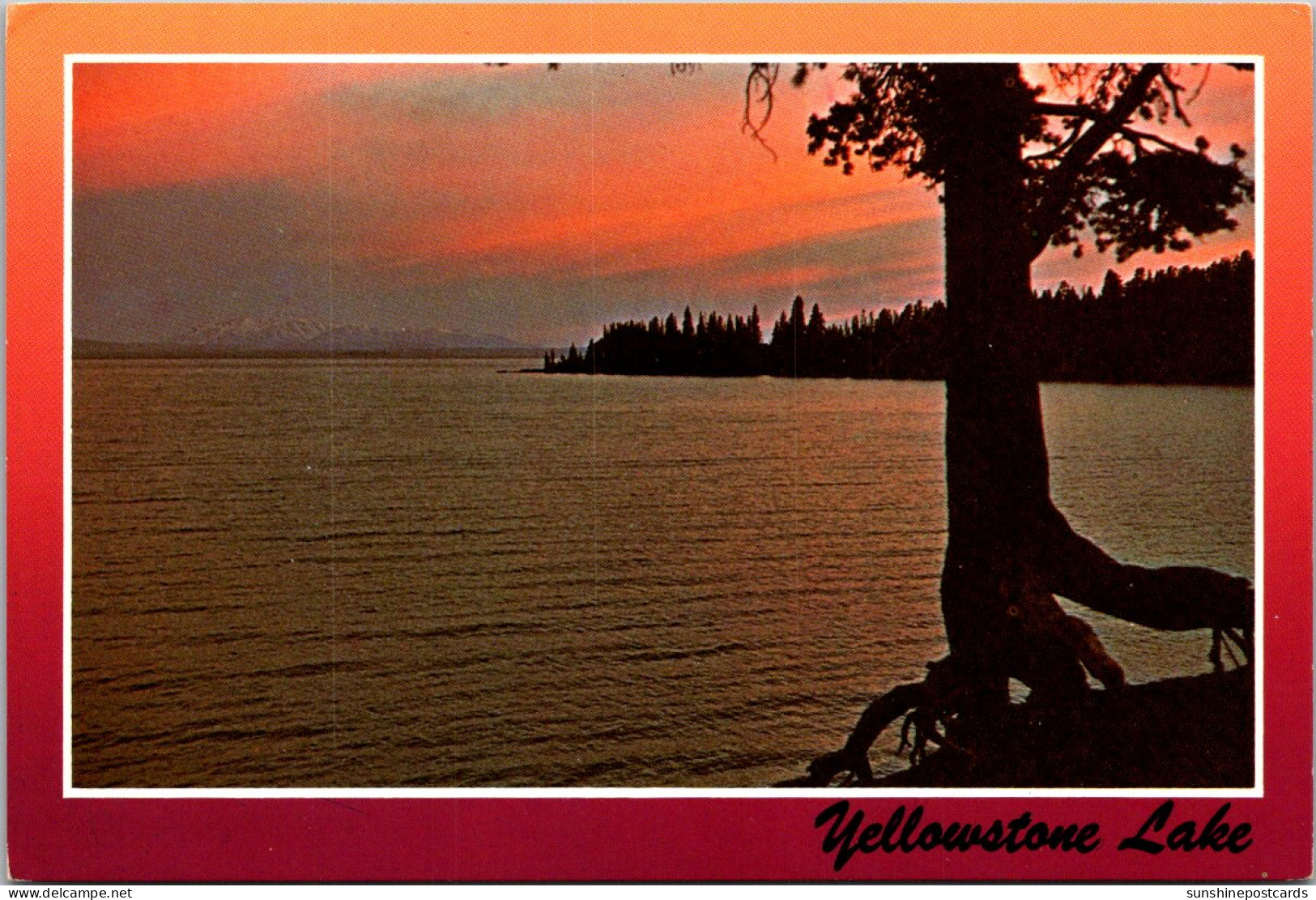 Yellowstone National Park Yellowstone Lake - USA Nationalparks