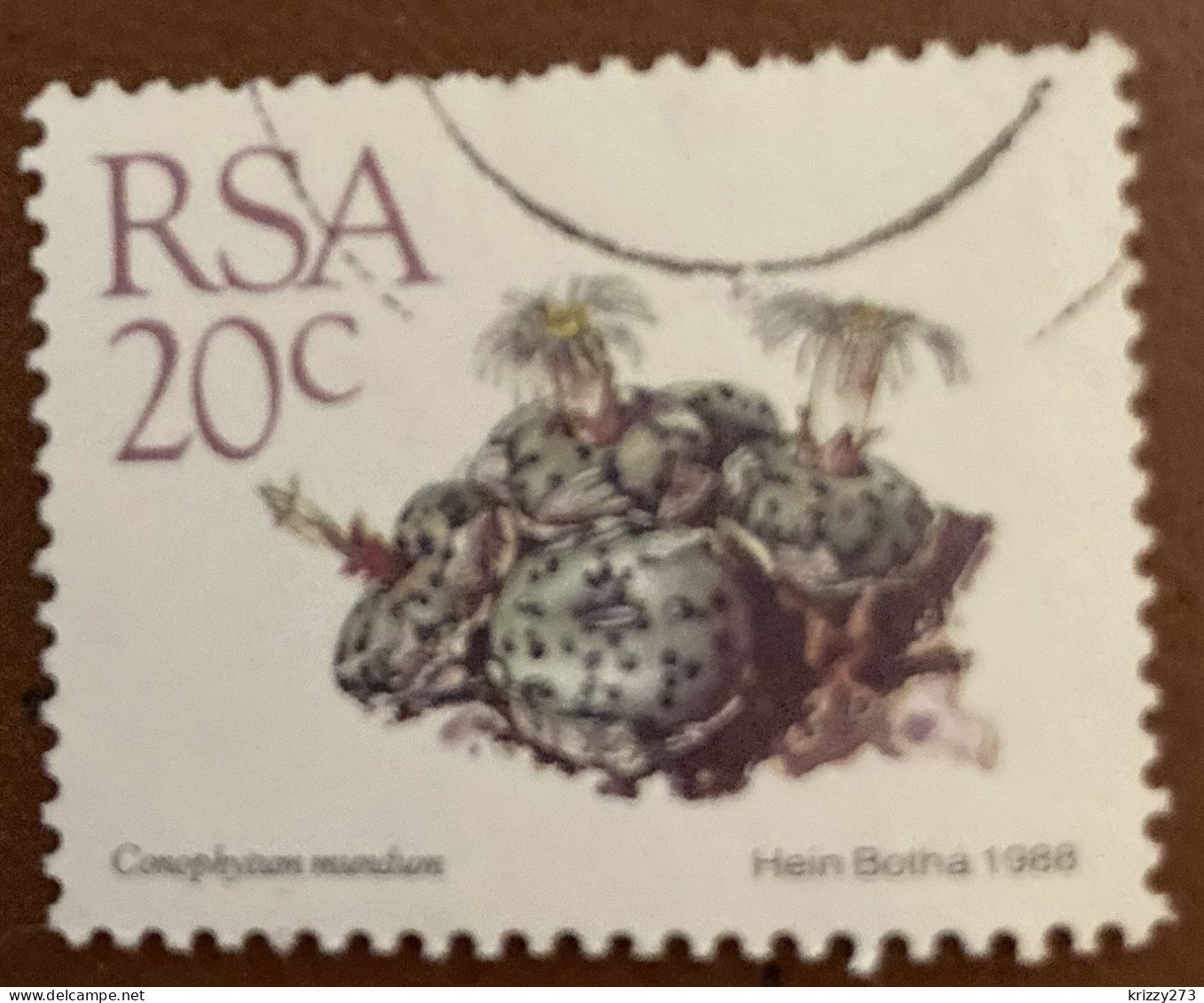 South Africa 1988 Succulents Conophytum Mundum 20c - Used - Used Stamps