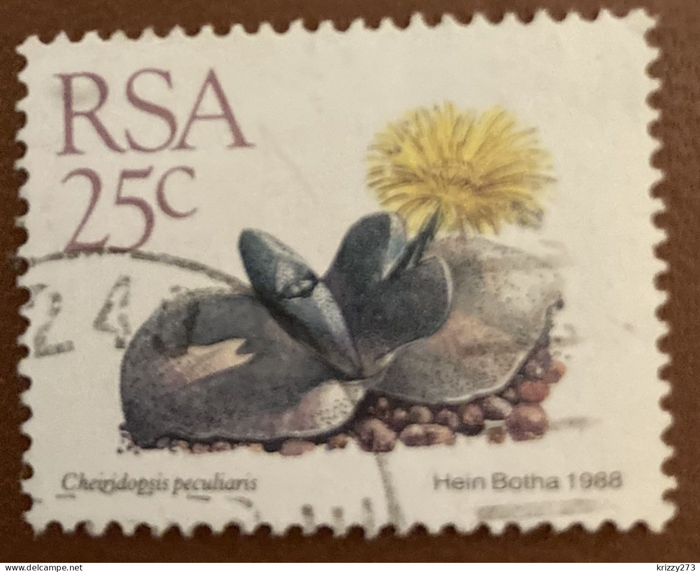 South Africa 1988 Succulents Cheiridopsis Peculiaris 25c - Used - Used Stamps