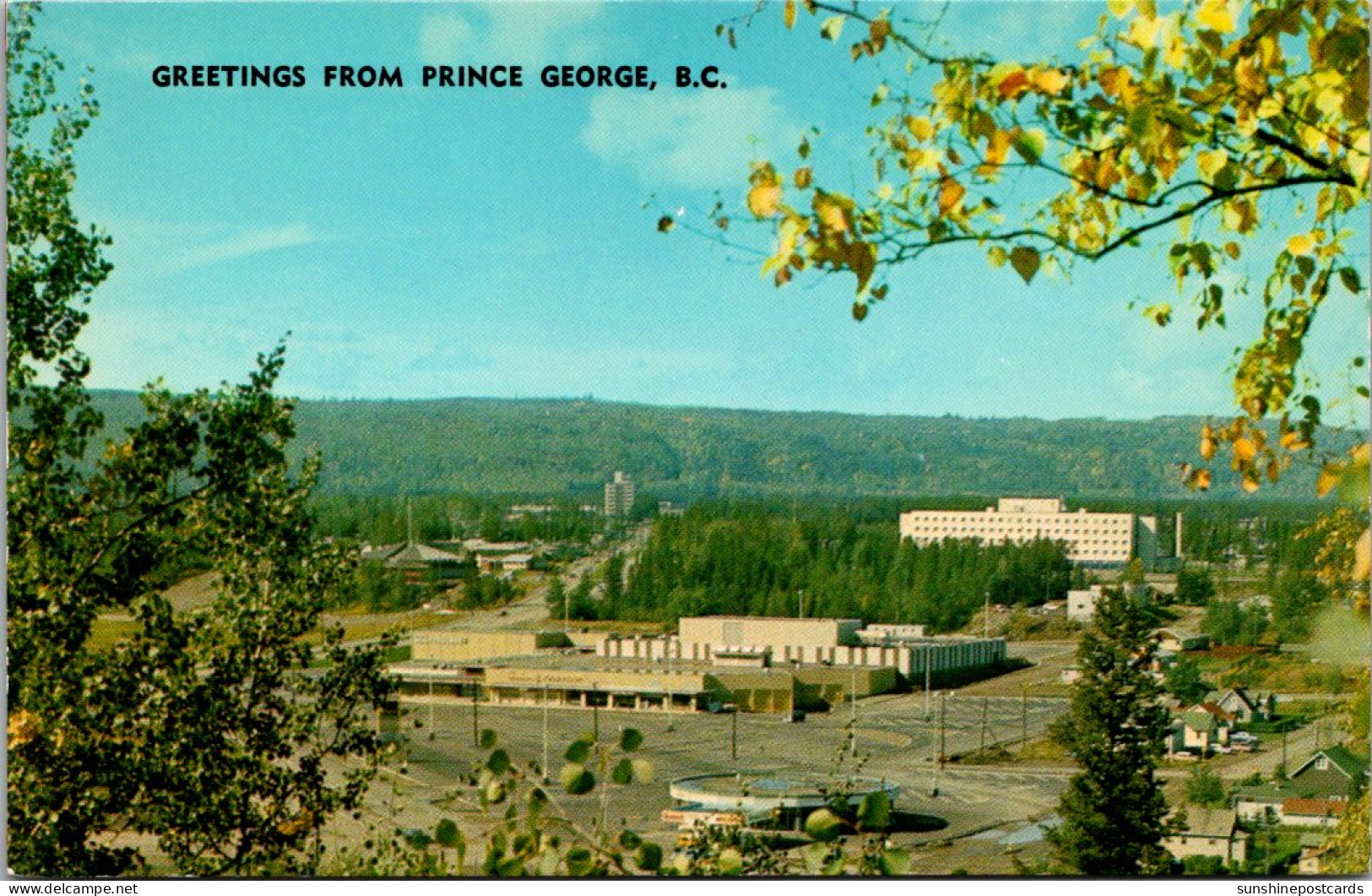 Canada British Columbia Prince George Greetings Overlooking Woodward's Shopping Centre - Prince George