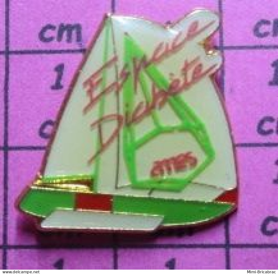 813F Pin's Pins / Beau Et Rare / SPORTS / VOILE VOLIER ESPACE DIABETE COURSE REGATE - Sailing, Yachting
