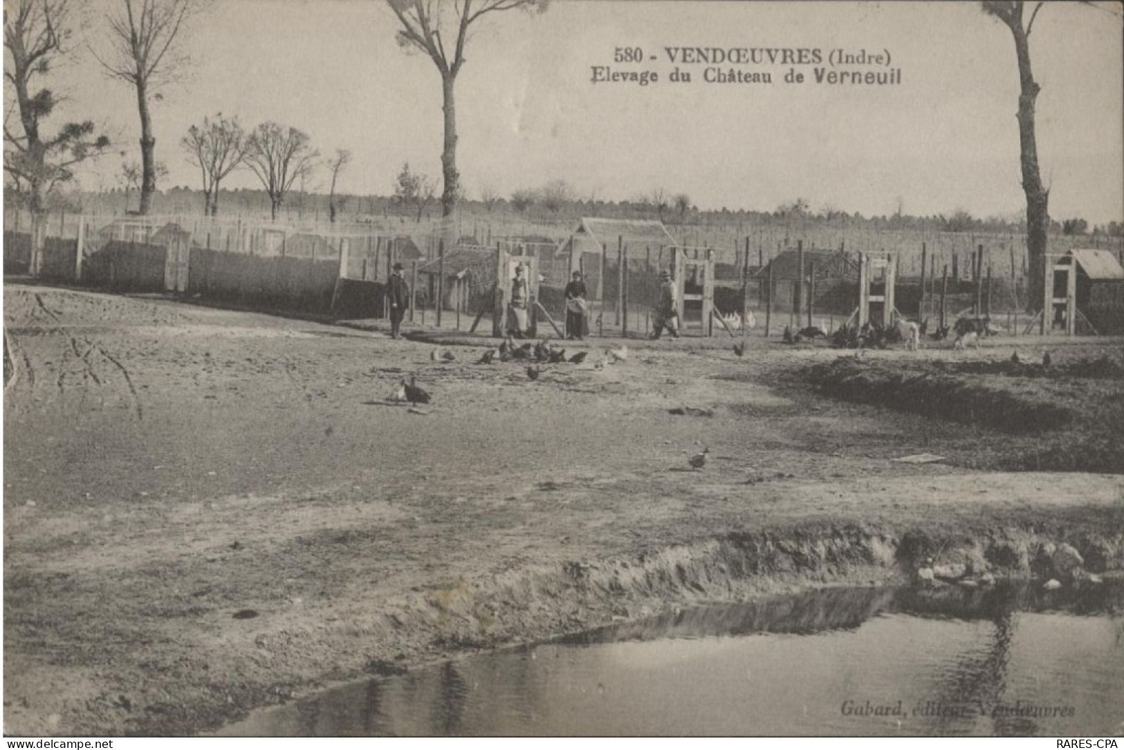 36 VENDOEUVRES - Elevage Du Chateau De VERNEUIL - Autres & Non Classés