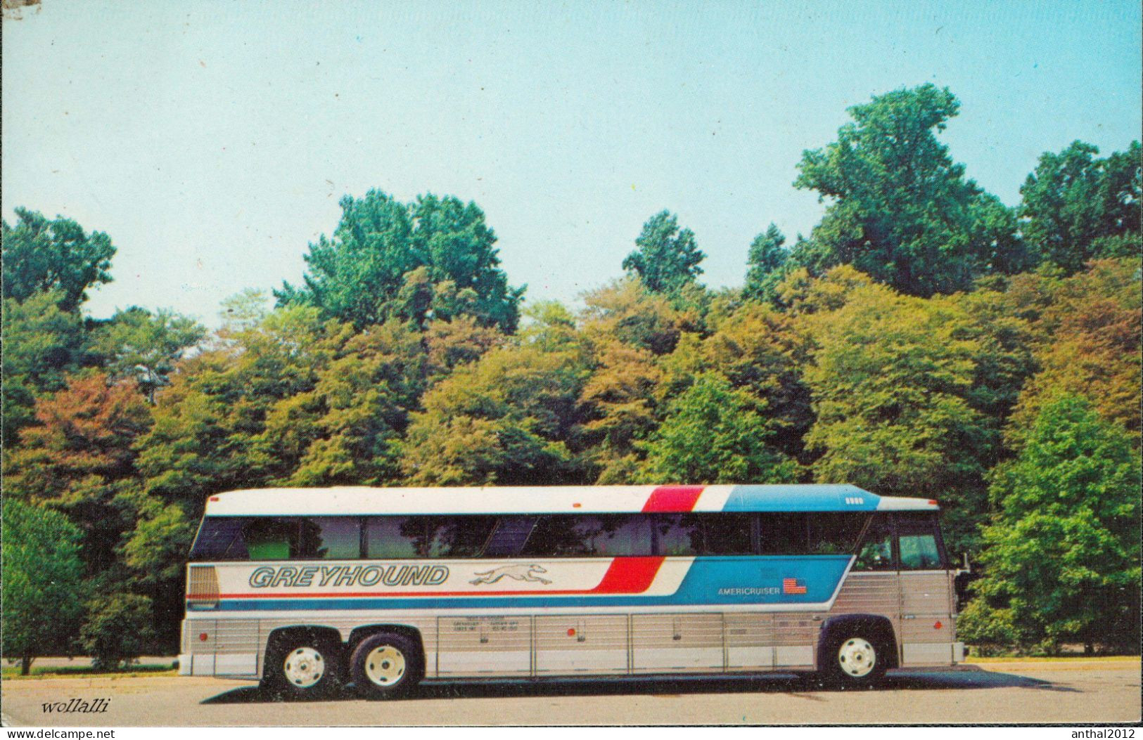 Rar Greyhound Bus Americruiser Um 1970 Colourpicture Boston - Bus & Autocars