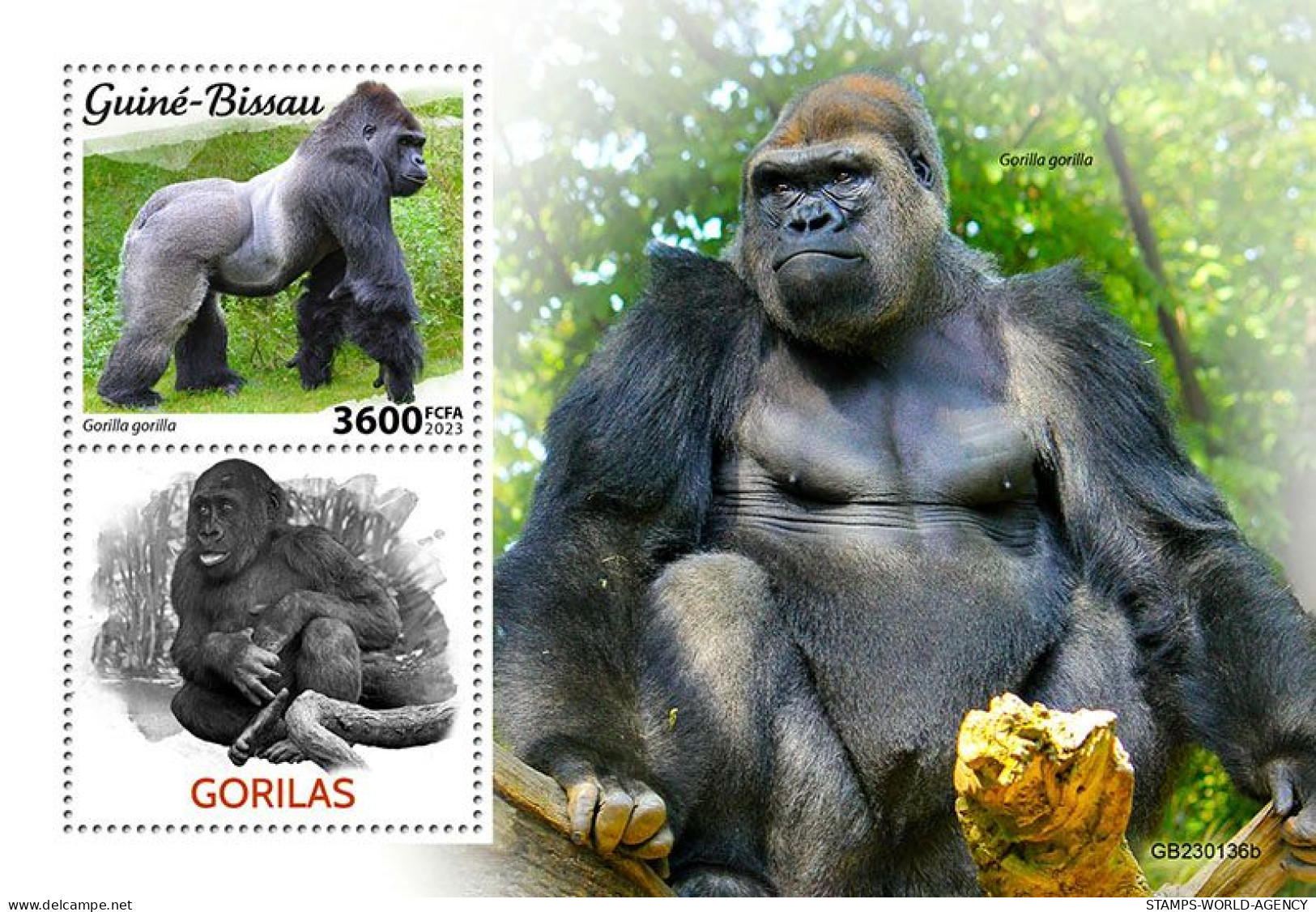 2023-01 - GUINEA BISSAU- GORILLAS            1V  MNH** - Gorilles