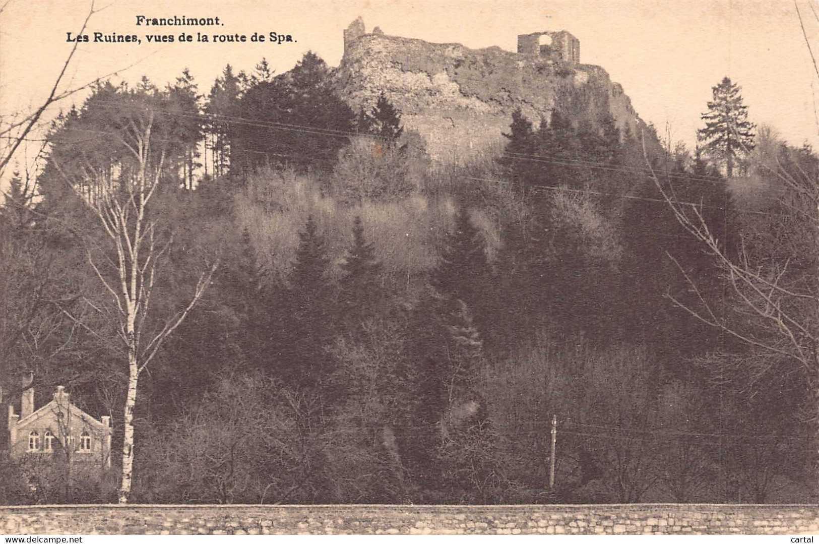 FRANCHIMONT - Les Ruines, Vues De La Route De Spa. - Theux