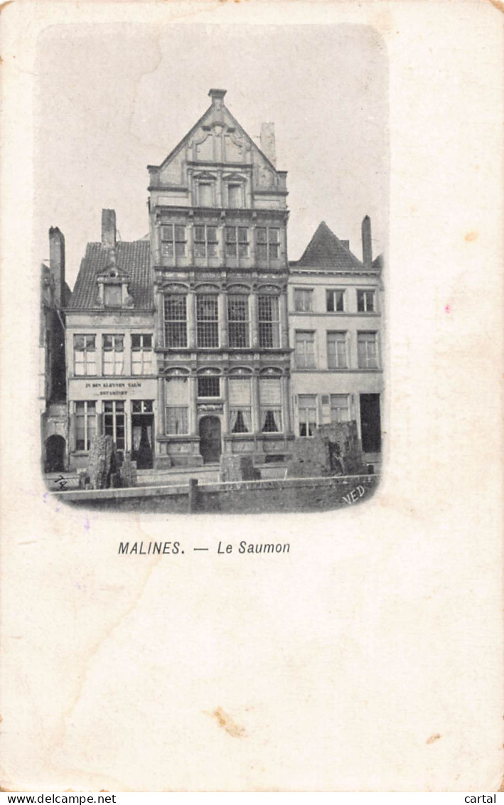 MALINES - Le Saumon - Mechelen