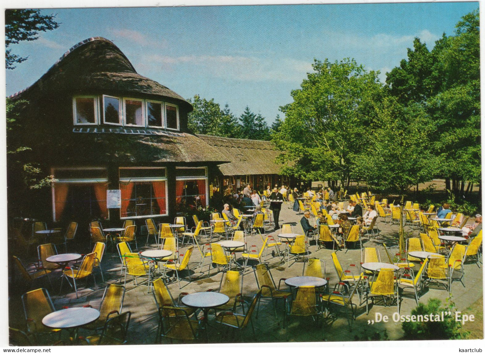 'De Ossenstal', Epe - (Gelderland, Nederland/Holland) - Terras - Epe