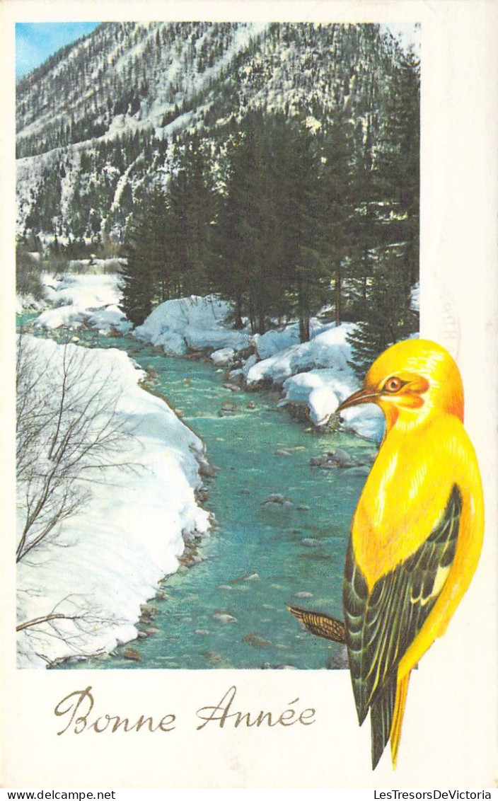 NOEL - Nouvel An - Oiseau Multicolore Et Rivière - Carte Postale Ancienne - Neujahr