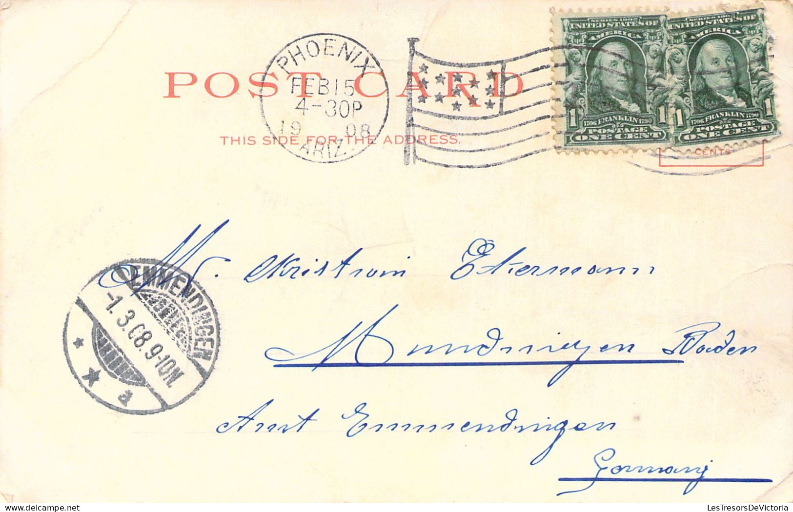 USA - Arizona - Autruche - Charge Of The Light Brigade - Carte Postale Ancienne - Other & Unclassified