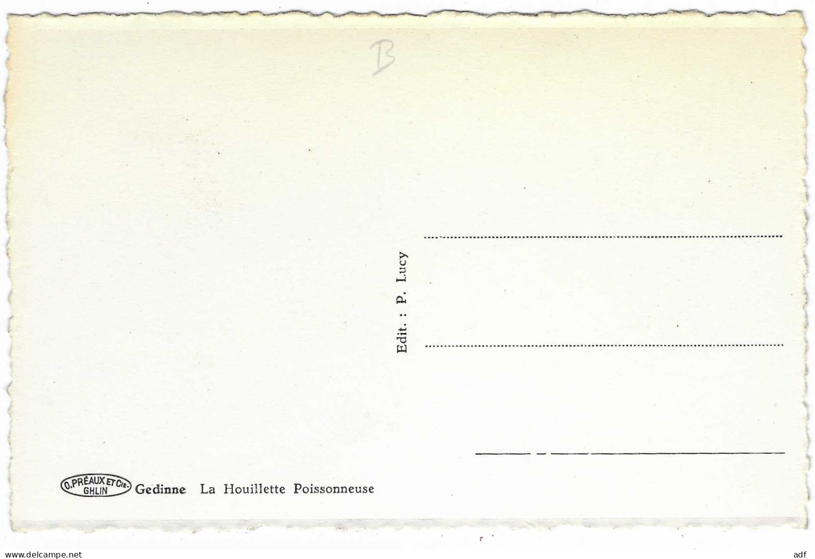 CPSM GEDINNE, LA HOUILLETTE POISSONNEUSE,  MAGASIN CHAUSSURE A GAUCHE, Format 9 Cm Sur 14 Cm Environ, BELGIQUE - Gedinne