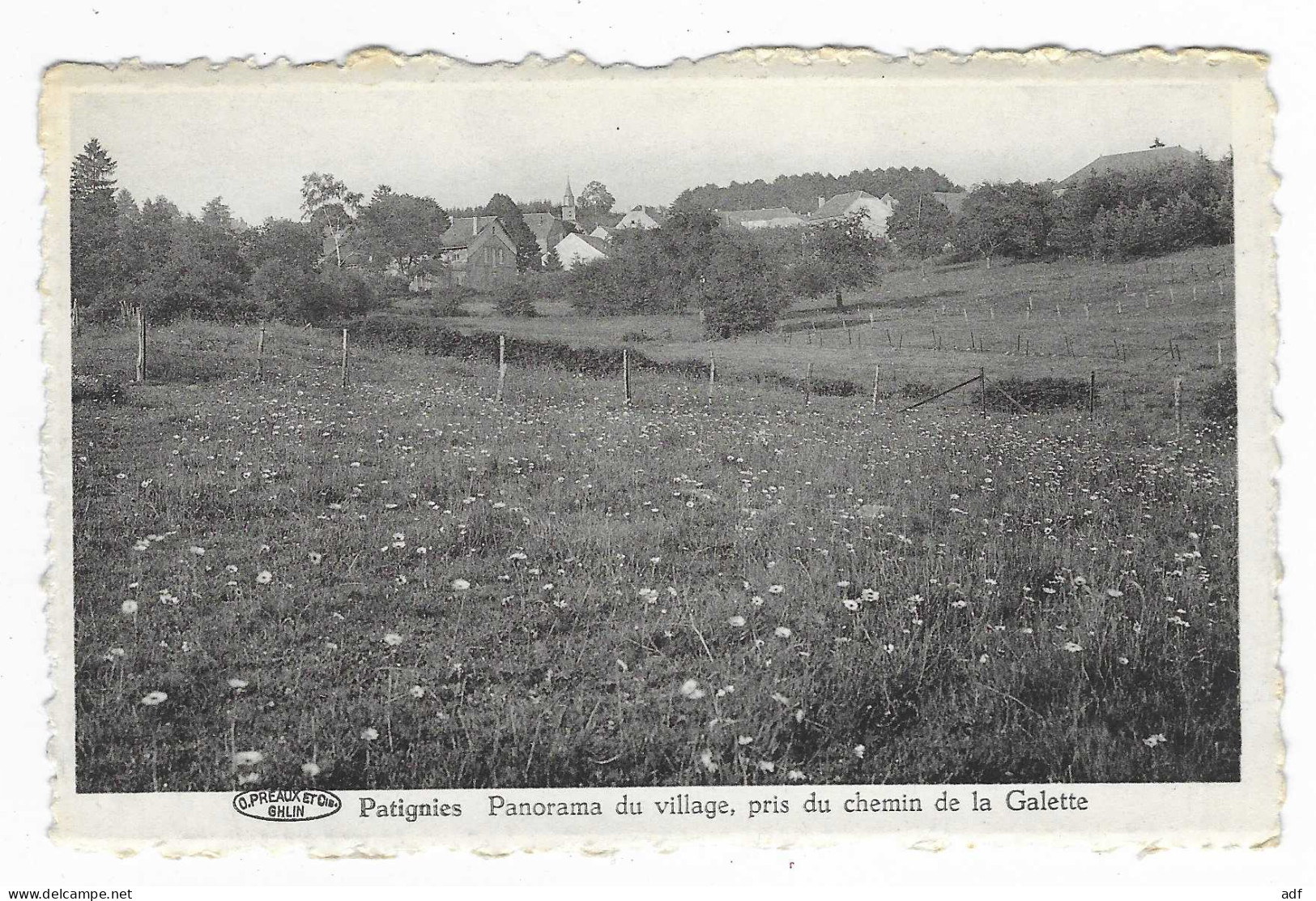 CPSM PATIGNIES, PANORAMA DU VILLAGE, PRIS DU CHEMIN DE LA GALETTE, Format 9 Cm Sur 14 Cm Environ, GEDINNE, BELGIQUE - Gedinne