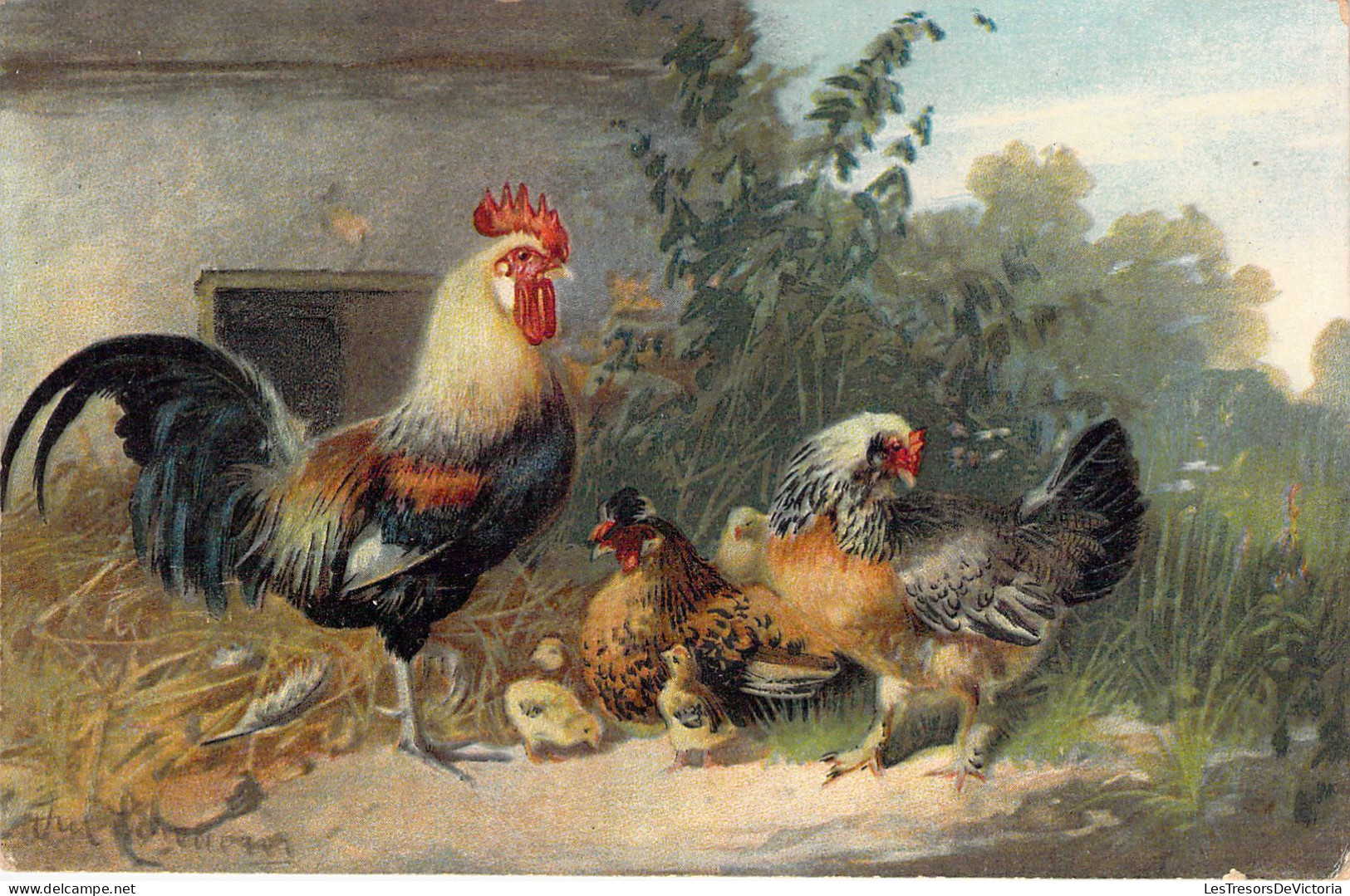 ANIMAUX - Illustration Signée ??? - Basse Cour - Carte Postale Ancienne - Andere & Zonder Classificatie