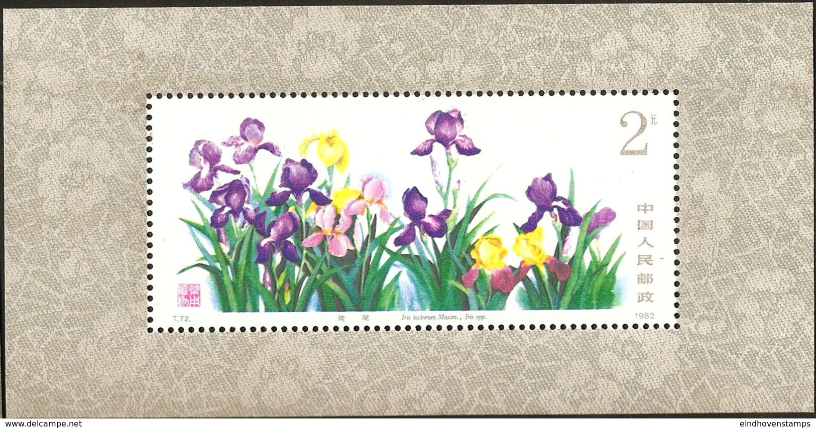 China 1982 Medicinal Plants Block Issue - Wall Irish, Treatment Against Hepatitis And Wind Damp Pains - Farmacia