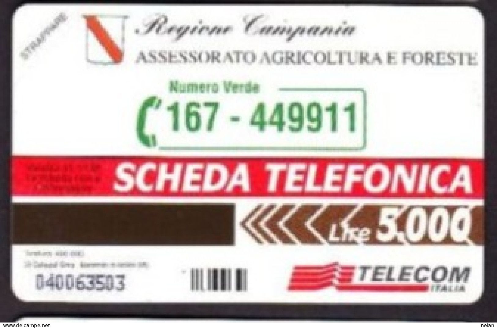 SCHEDA TELEFONICA  - ITALIA - TELECOM - NUOVA - REGIONE CAMPANIA - PREVENIAMO GLI INCEDI BOSCHIVI - Öff. Sonderausgaben