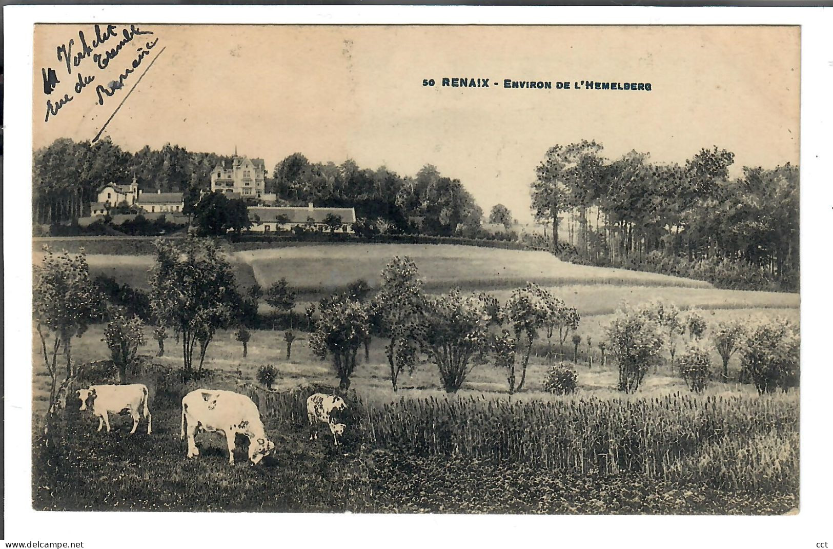 Renaix Ronse   Environ De L'Hemelberg - Renaix - Ronse