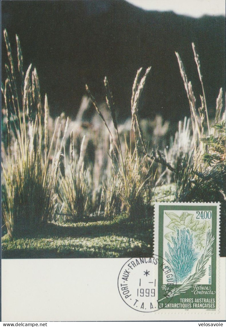 TAAF N° 244 FLORE SUR CARTE MAXIMUM - FDC