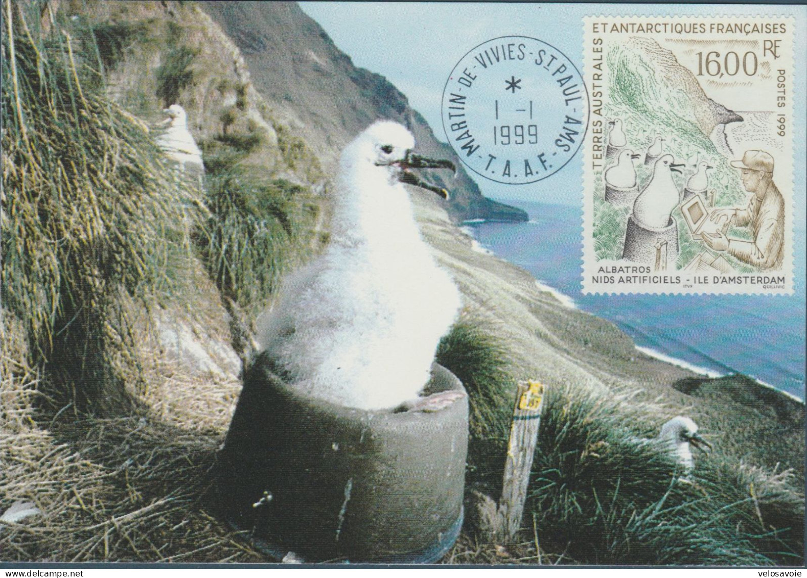 TAAF N° 243 OISEAUX SUR CARTE MAXIMUM - FDC