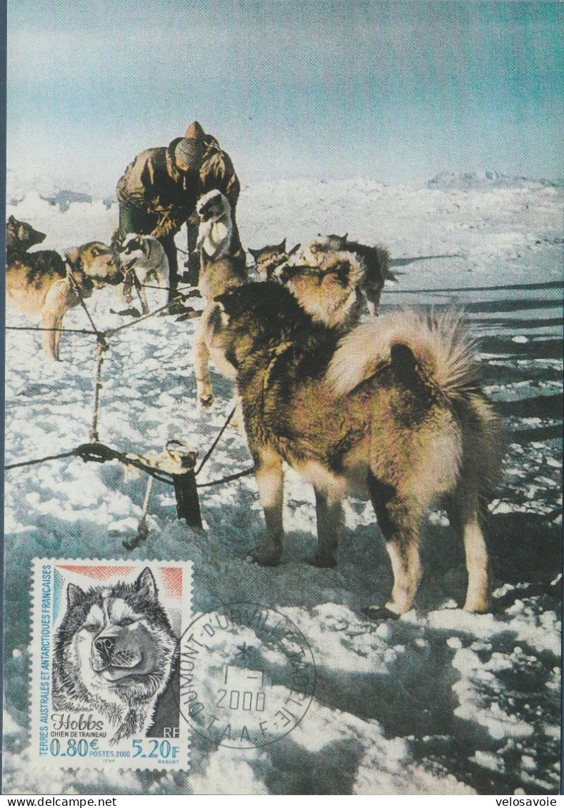 TAAF N° 265 CHIENS SUR CARTE MAXIMUM - FDC