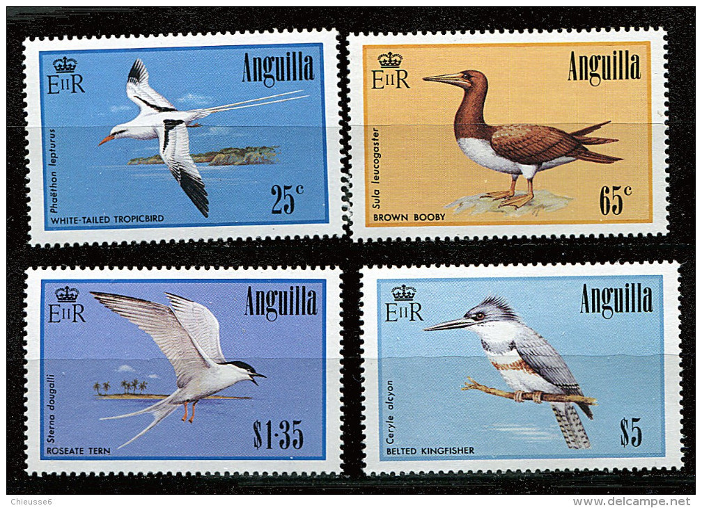 Anguilla ** N° 586 à 589 - Série Courante. Oiseaux (I) - Anguilla (1968-...)