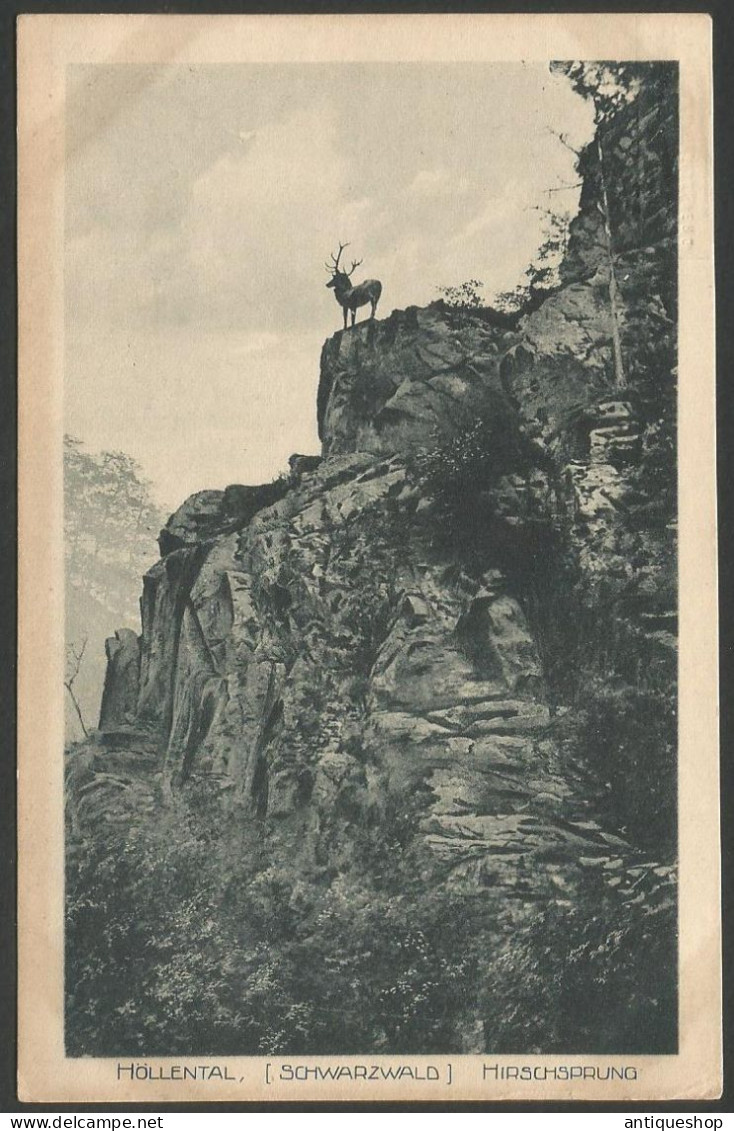 Germany-----Hollental-----old Postcard - Höllental