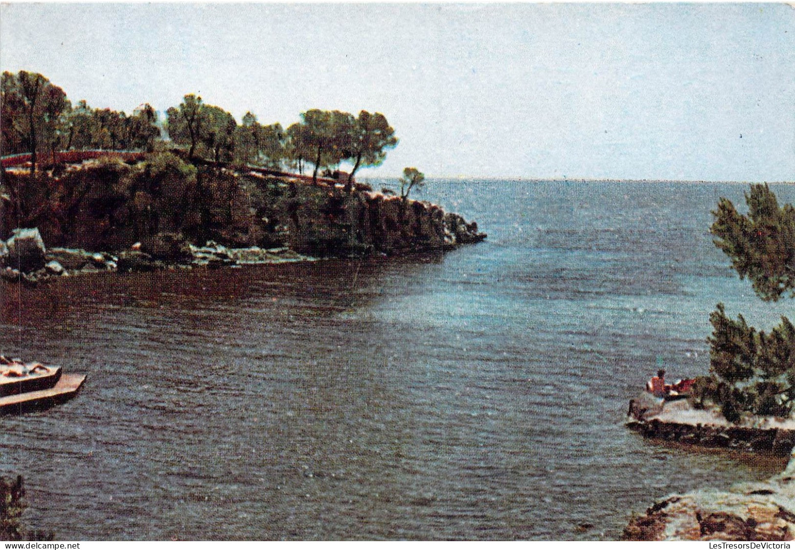 ESPAGNE - Mallorca - Hotel Los Pinos - Vista Desde El Hotel - Carte Postale Ancienne - Mallorca