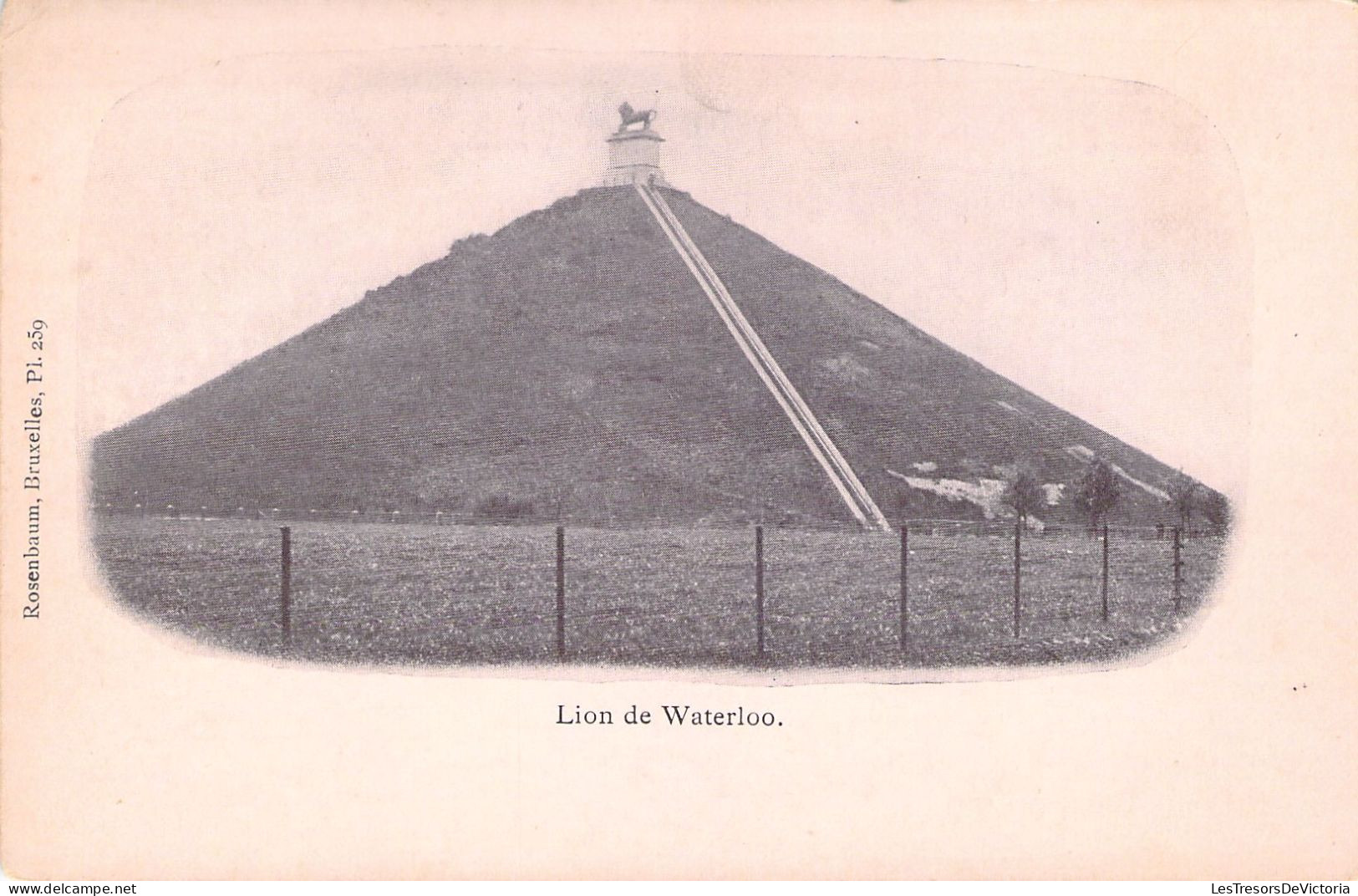 NAPOLEON - Waterloo -  Le Lion - Carte Postale Ancienne - Historische Persönlichkeiten