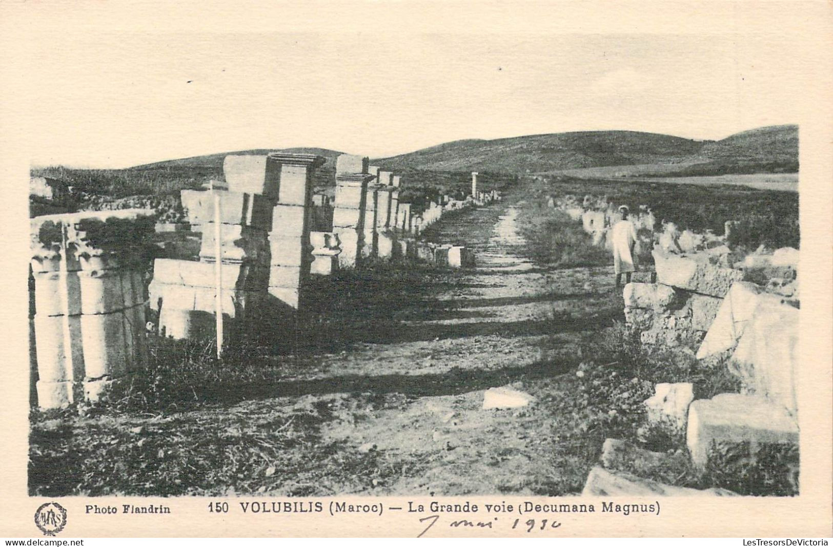 AFRIQUE - MAROC - VOLUBILIS - La Grande Voie - Carte Postale Ancienne - Autres & Non Classés