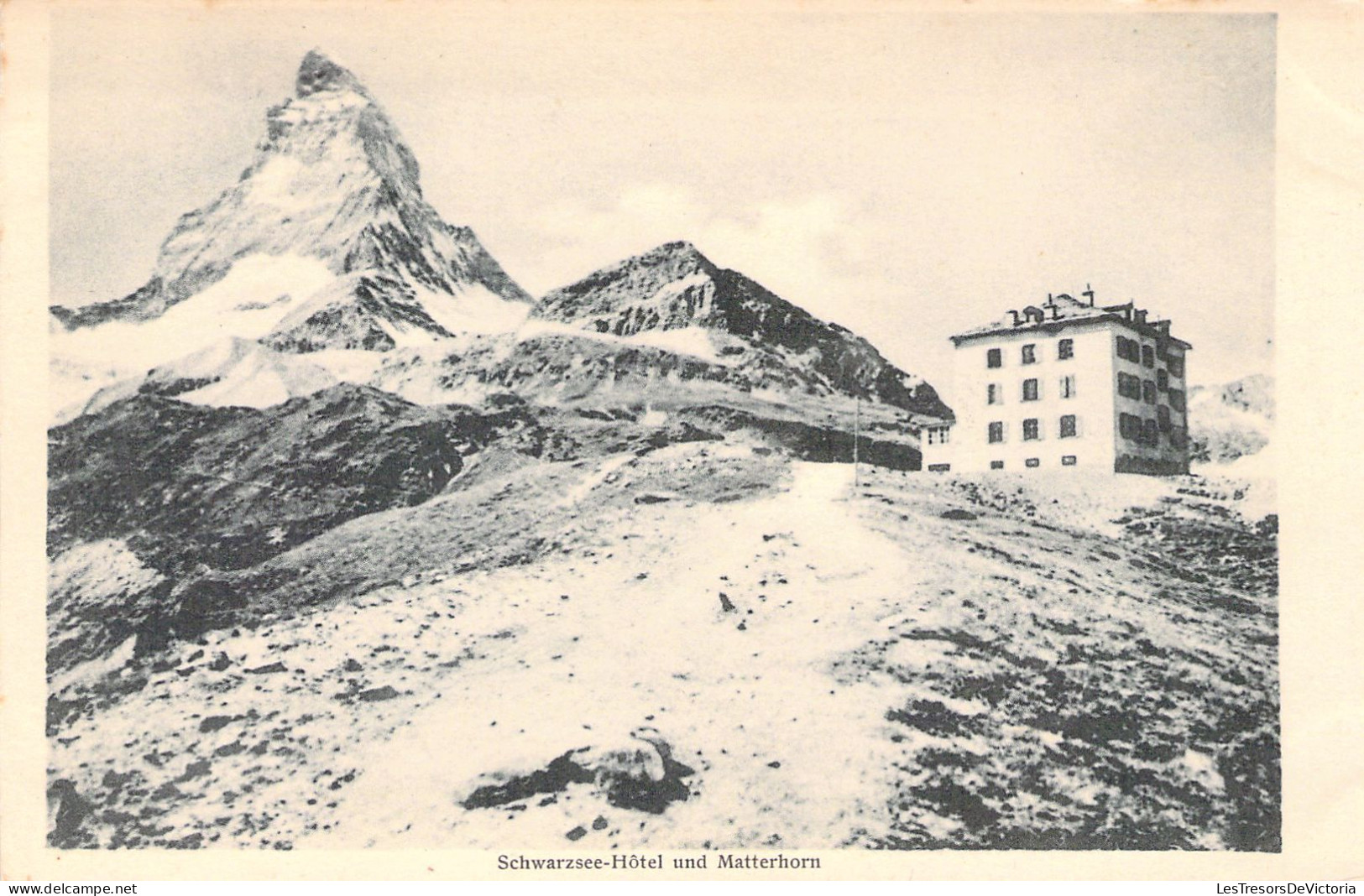 SUISSE - Schwarzee Hotel Und Matterhorn - Carte Postale Ancienne - Matt