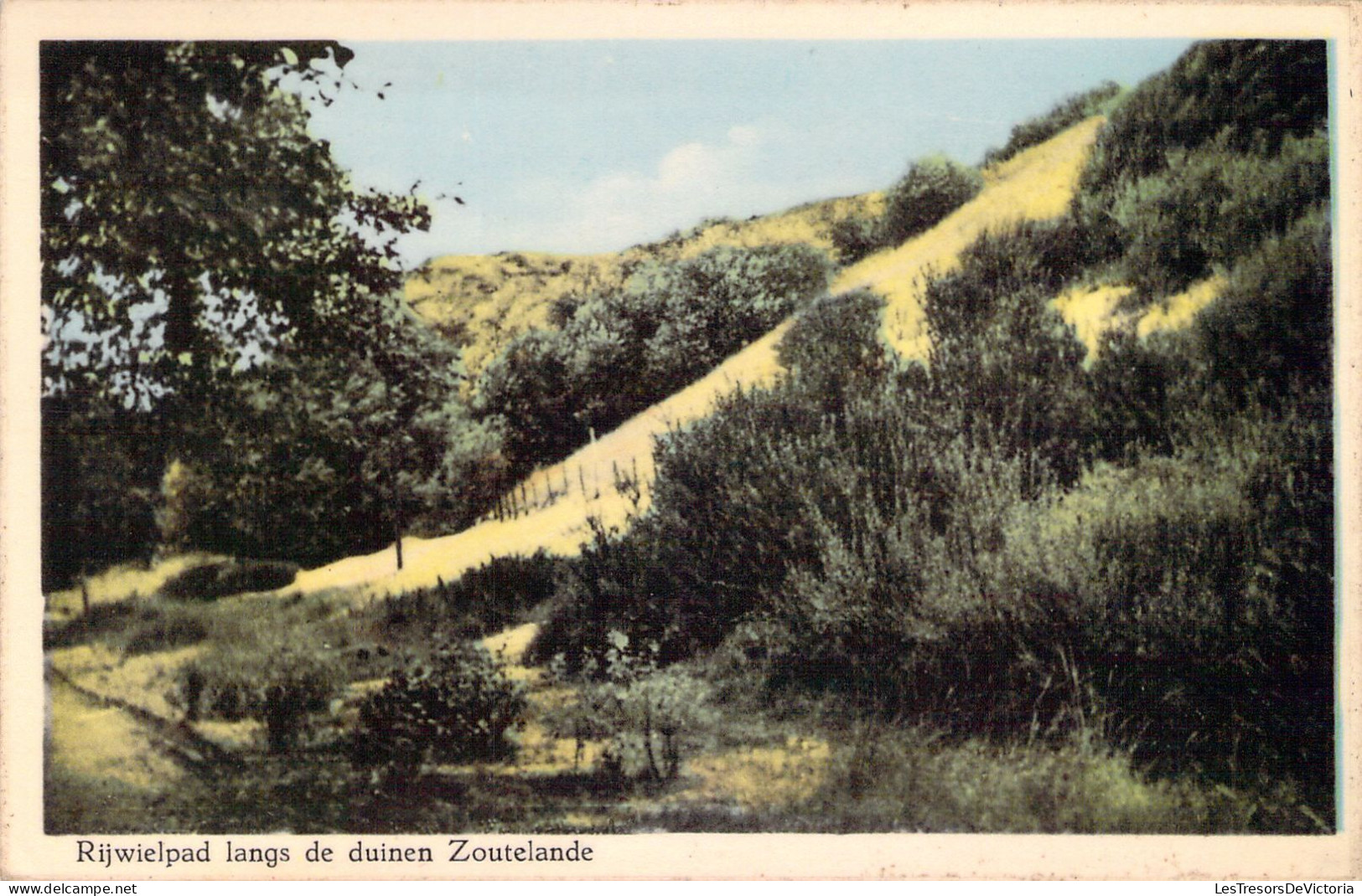 PAYS BAS - Rijwielpad Langs De Duinen Zoutelande - Carte Postale Ancienne - Other & Unclassified