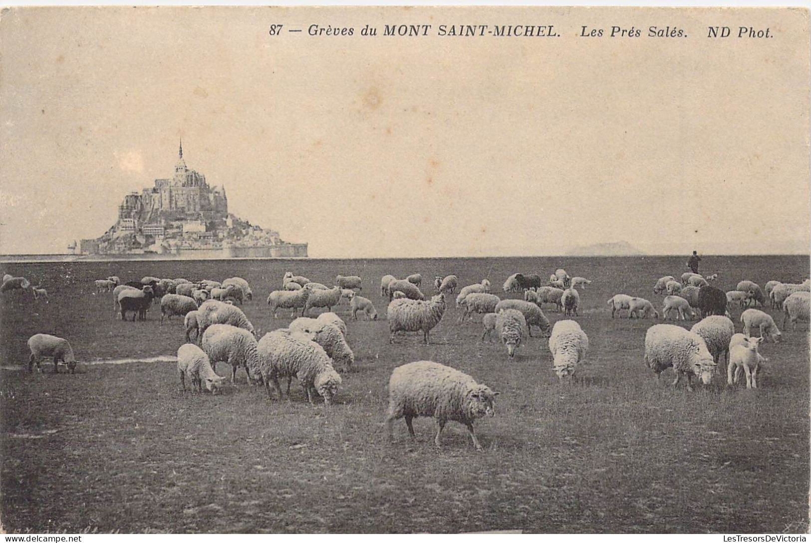 FRANCE - 50 - LE MONT SAINT MICHEL - Les Prés Salés - Carte Postale Ancienne - Le Mont Saint Michel