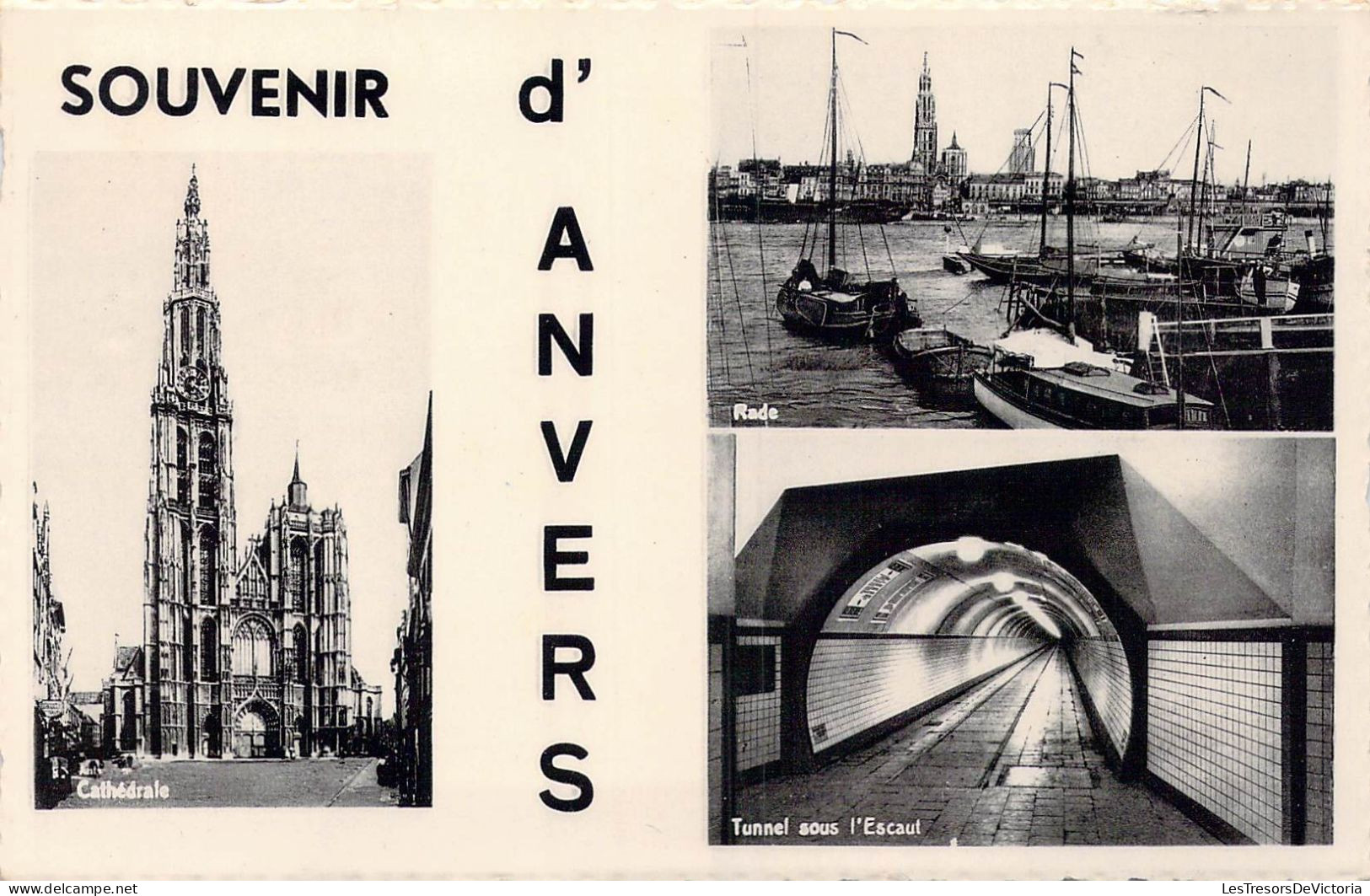 BELGIQUE - Souvenir D'Anvers - Cathédrale - Rade - Tunnel Sous L'Escaut - Carte Postale Ancienne - Antwerpen